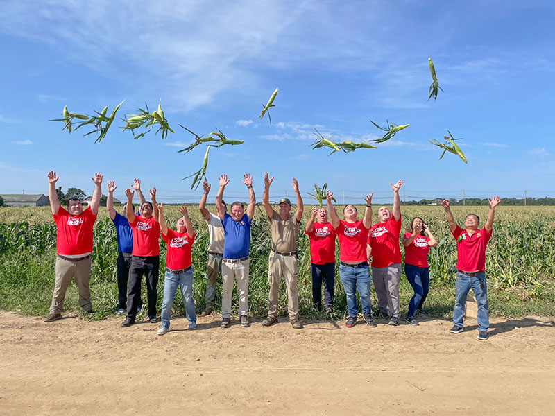 corn2