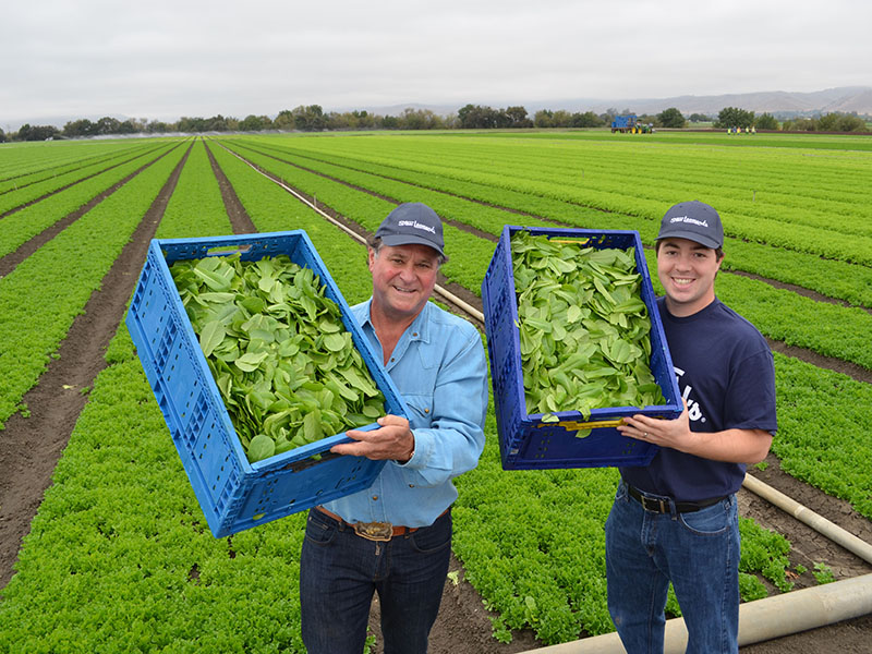 jake_stew_lettuce2